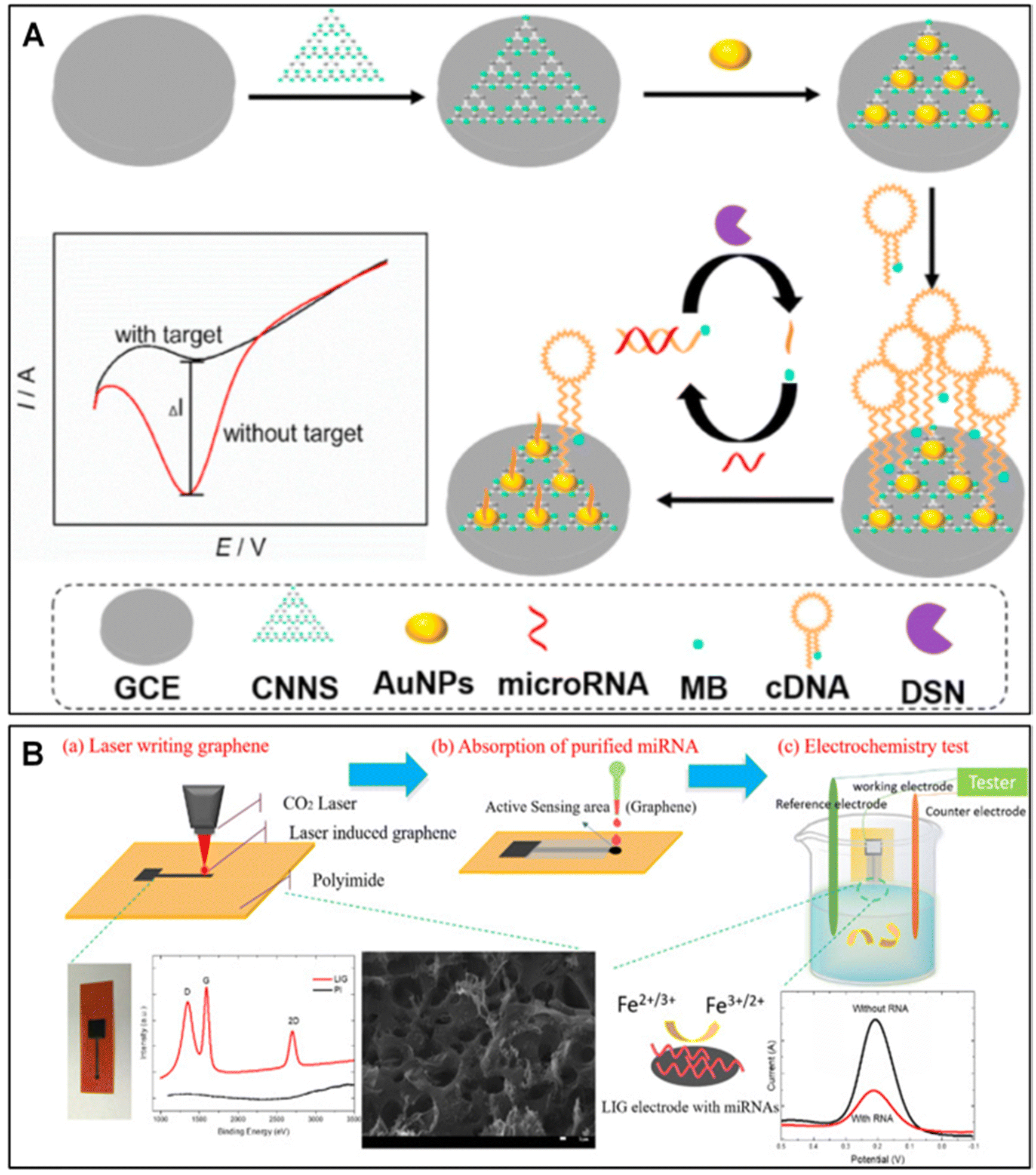 Nanomaterials in electrochemical nanobiosensors of miRNAs