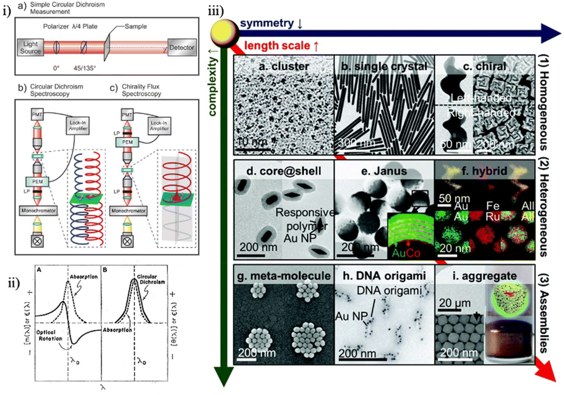 Chiral nanomaterials in tissue engineering - Nanoscale (RSC 