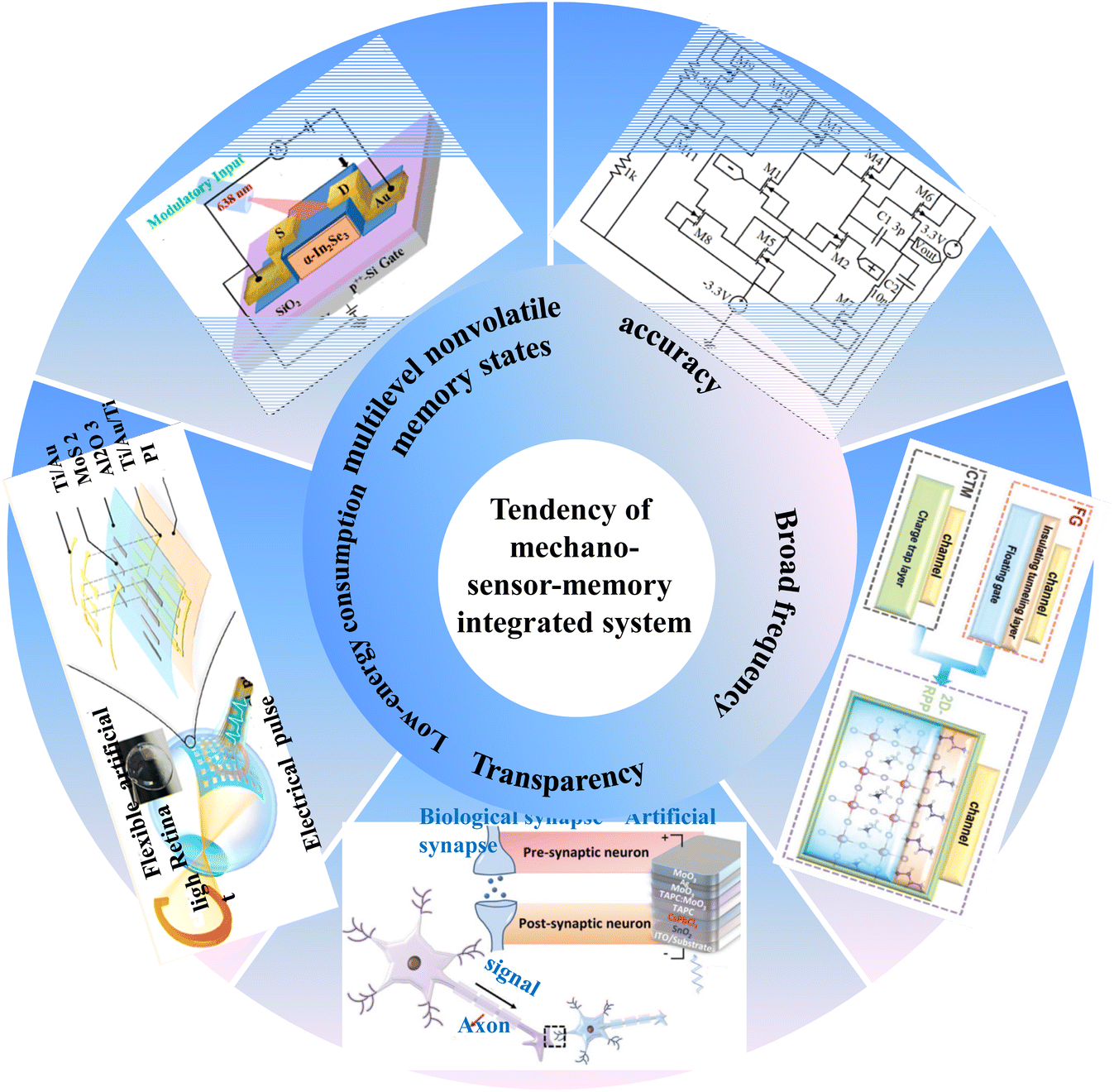 Human somatosensory systems based on sensor-memory