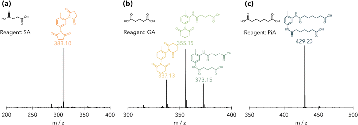 image file: d4py01116c-f3.tif