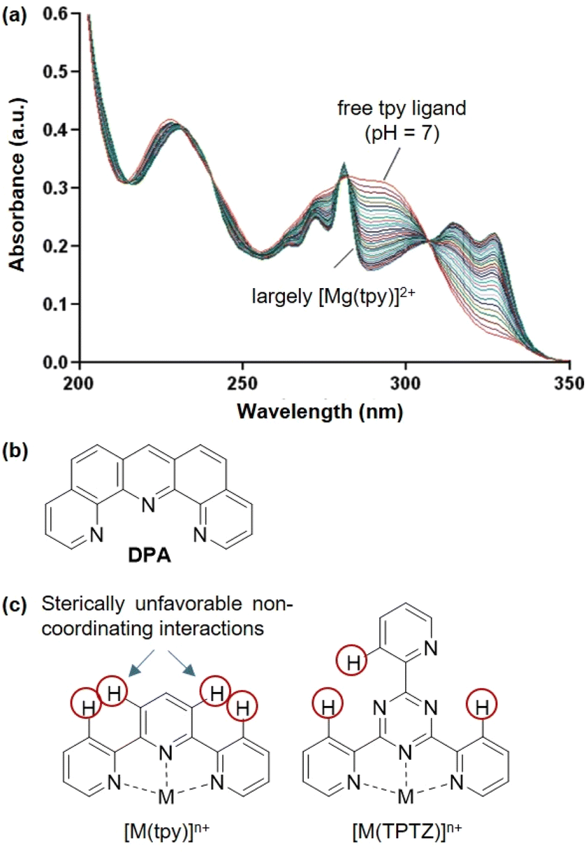 The chemistry of the s and p block elements with 2 2 6 2