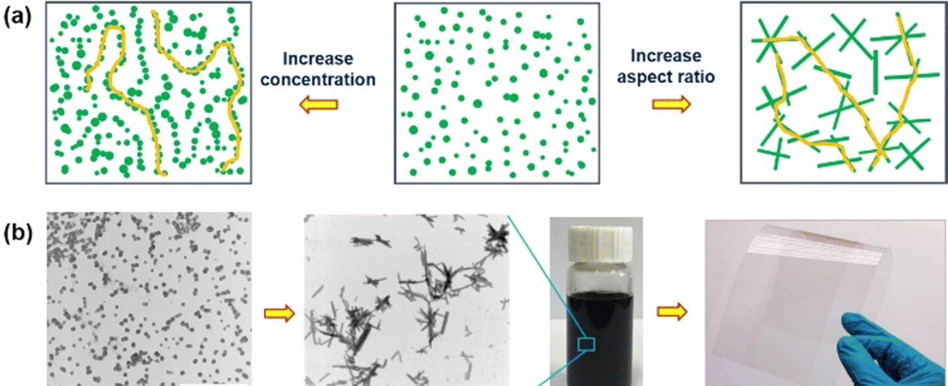 Polypyrrole micro/nanostructures and their soft materials in 