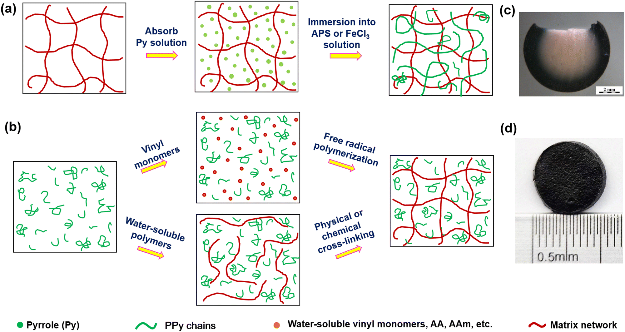 Polypyrrole micro/nanostructures and their soft materials in 