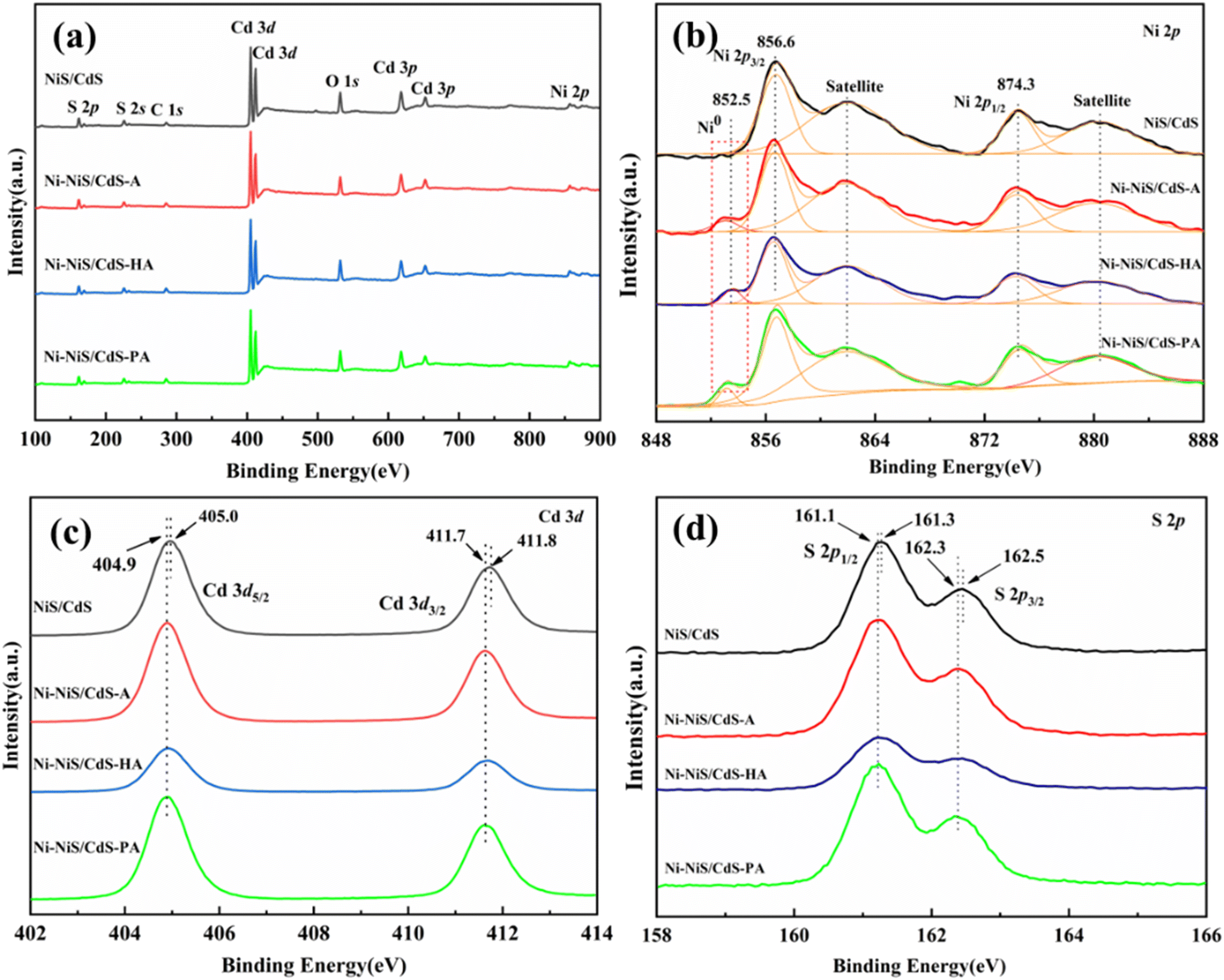 Enhanced photocatalytic H 2 generation of CdS using dual 