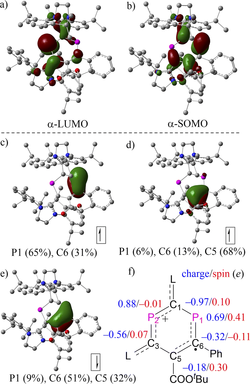 Sequential radical and cationic reactivity at separated sites 