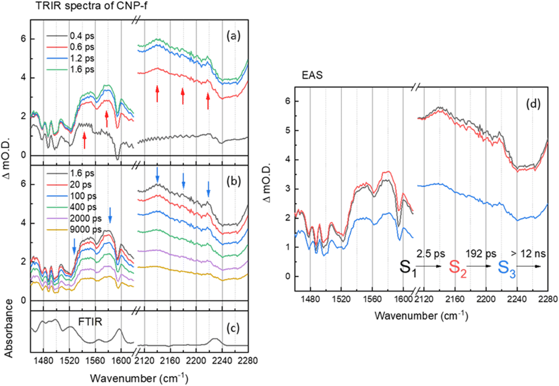 Multiscale Modeling and Simulation of Zwitterionic Anti