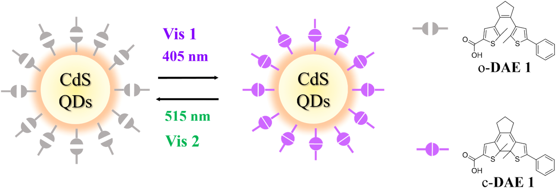 An efficient all-visible light-activated photoswitch based on ...