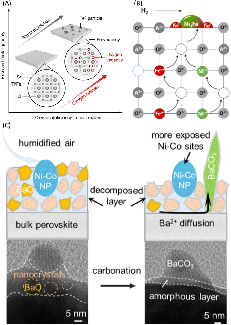 Segregation and interdiffusion processes in perovskites: a