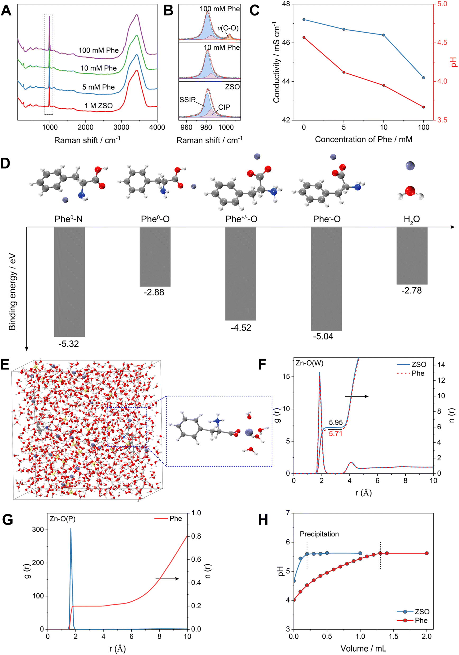 A multifunctional phenylalanine additive stabilizing zinc