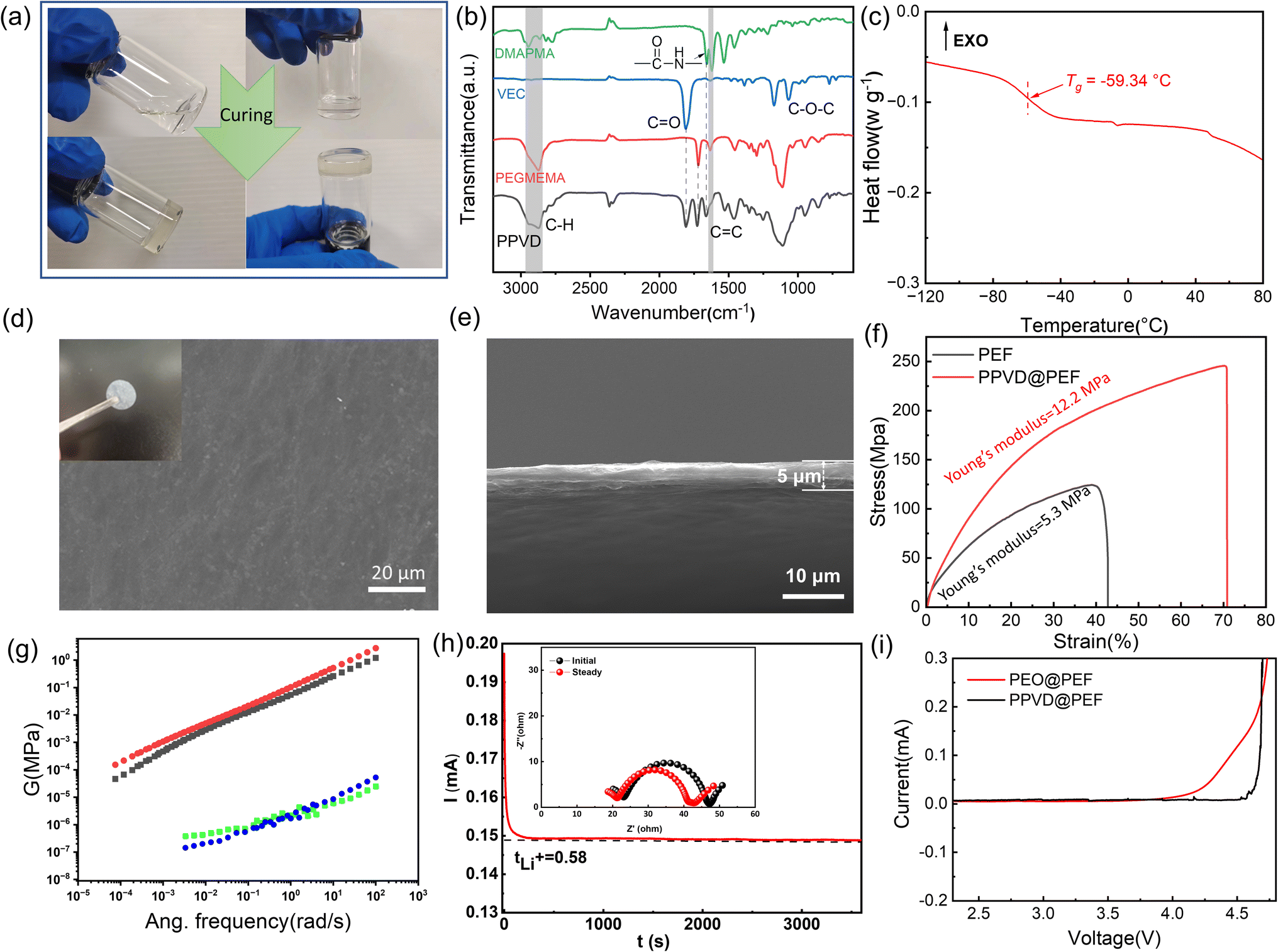 In situ construction of an ultra-thin and flexible polymer 