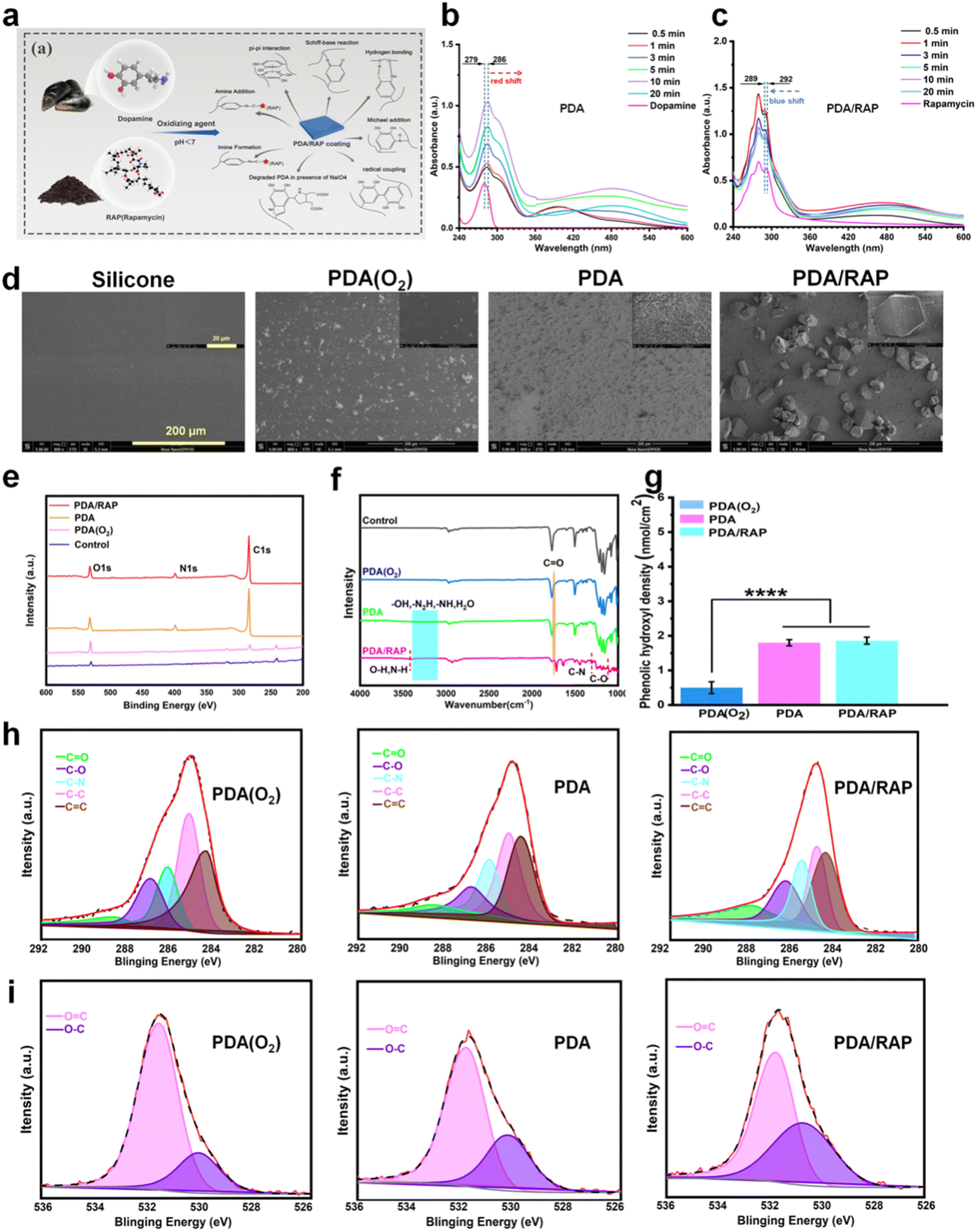 Advances in fluorescence imaging of RNAs in living cells