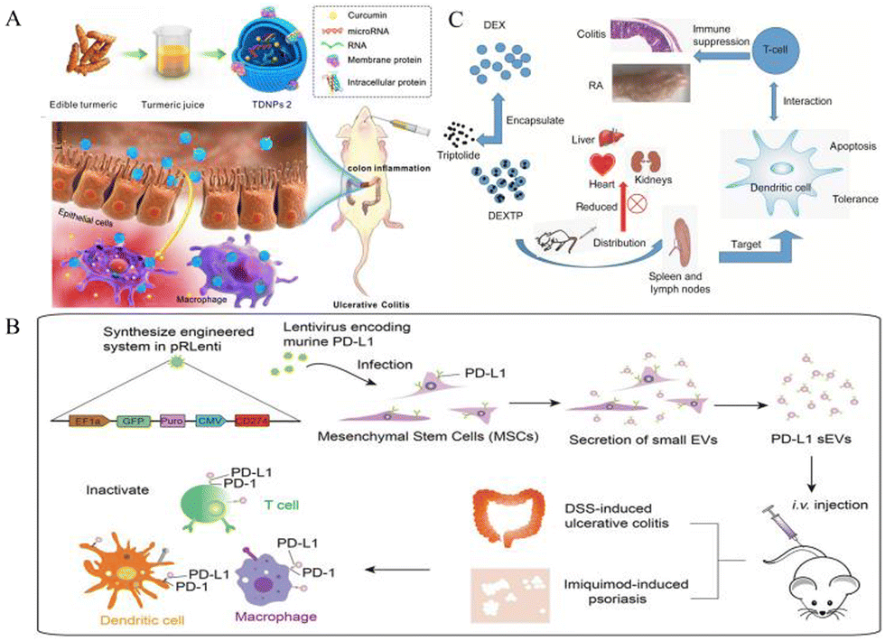 Bioinspired and biomimetic strategies for inflammatory bowel 