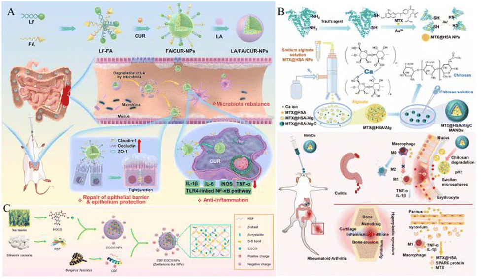 Bioinspired and biomimetic strategies for inflammatory bowel 