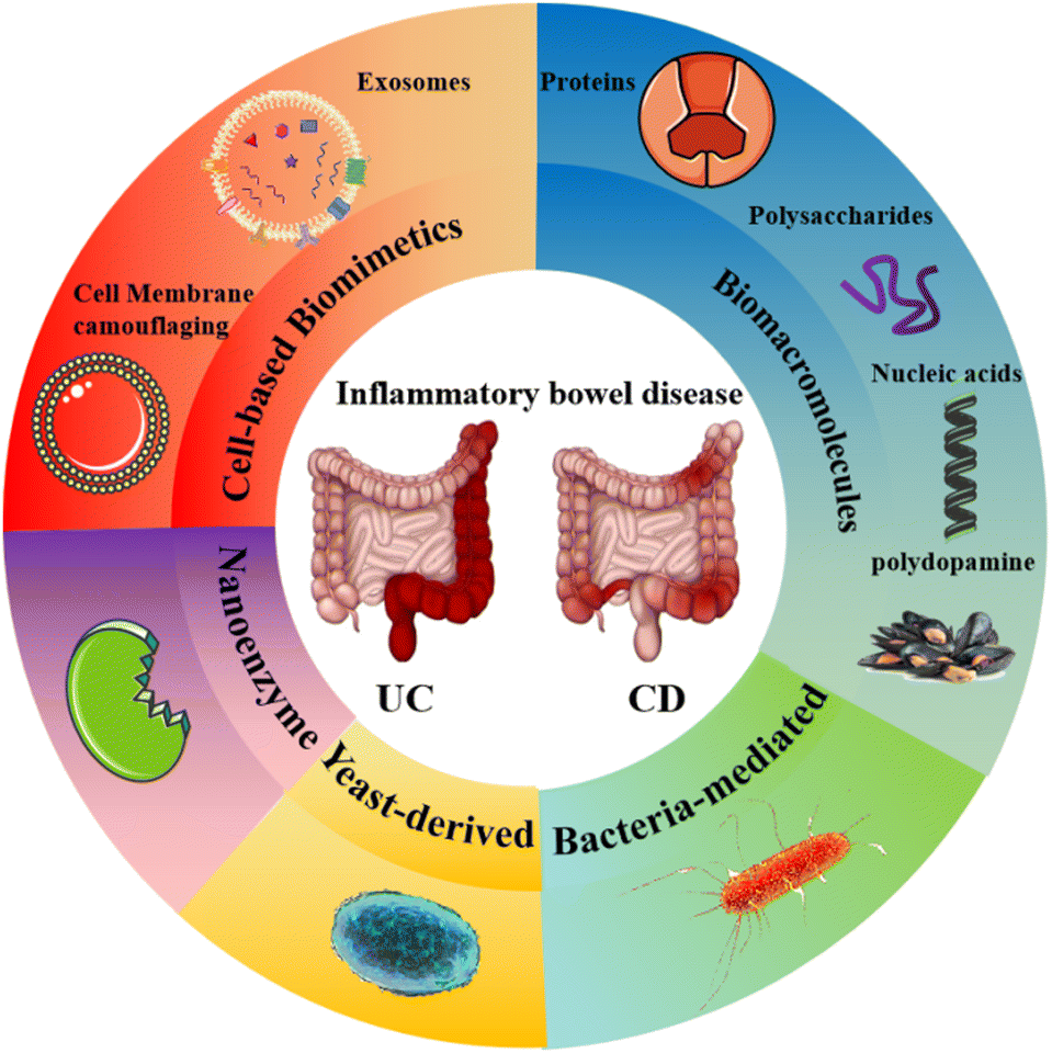 Bioinspired and biomimetic strategies for inflammatory bowel Bioinspired and biomimetic strategies for inflammatory bowel