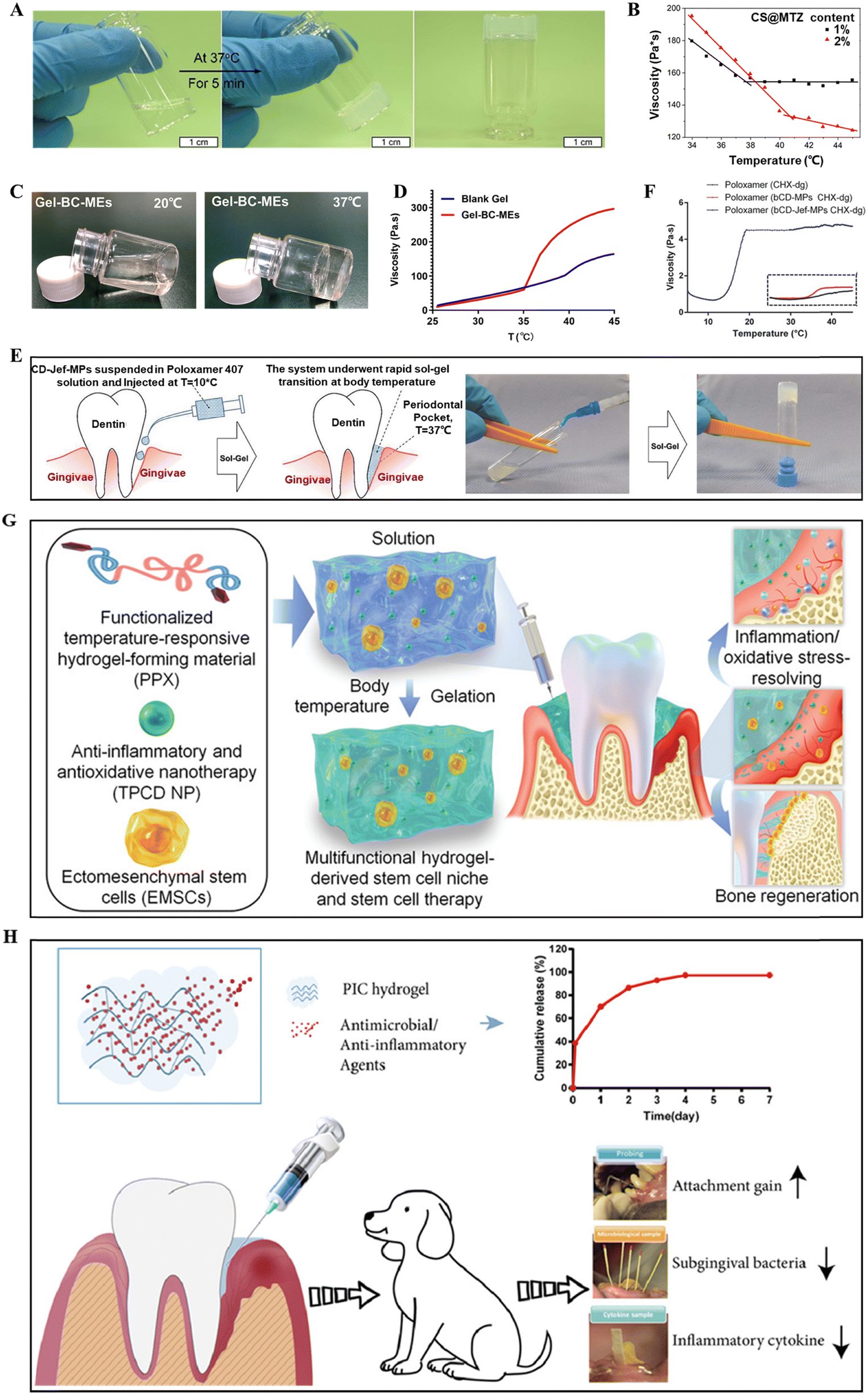 Recent advances in injectable hydrogel therapies for periodontitis -  Journal of Materials Chemistry B (RSC Publishing) DOI:10.1039/D3TB03070A