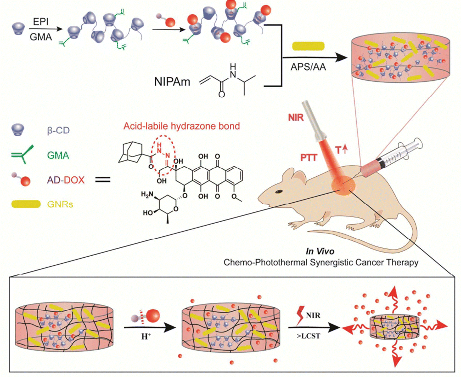 Application of 3D, 4D, 5D, and 6D bioprinting in cancer research 