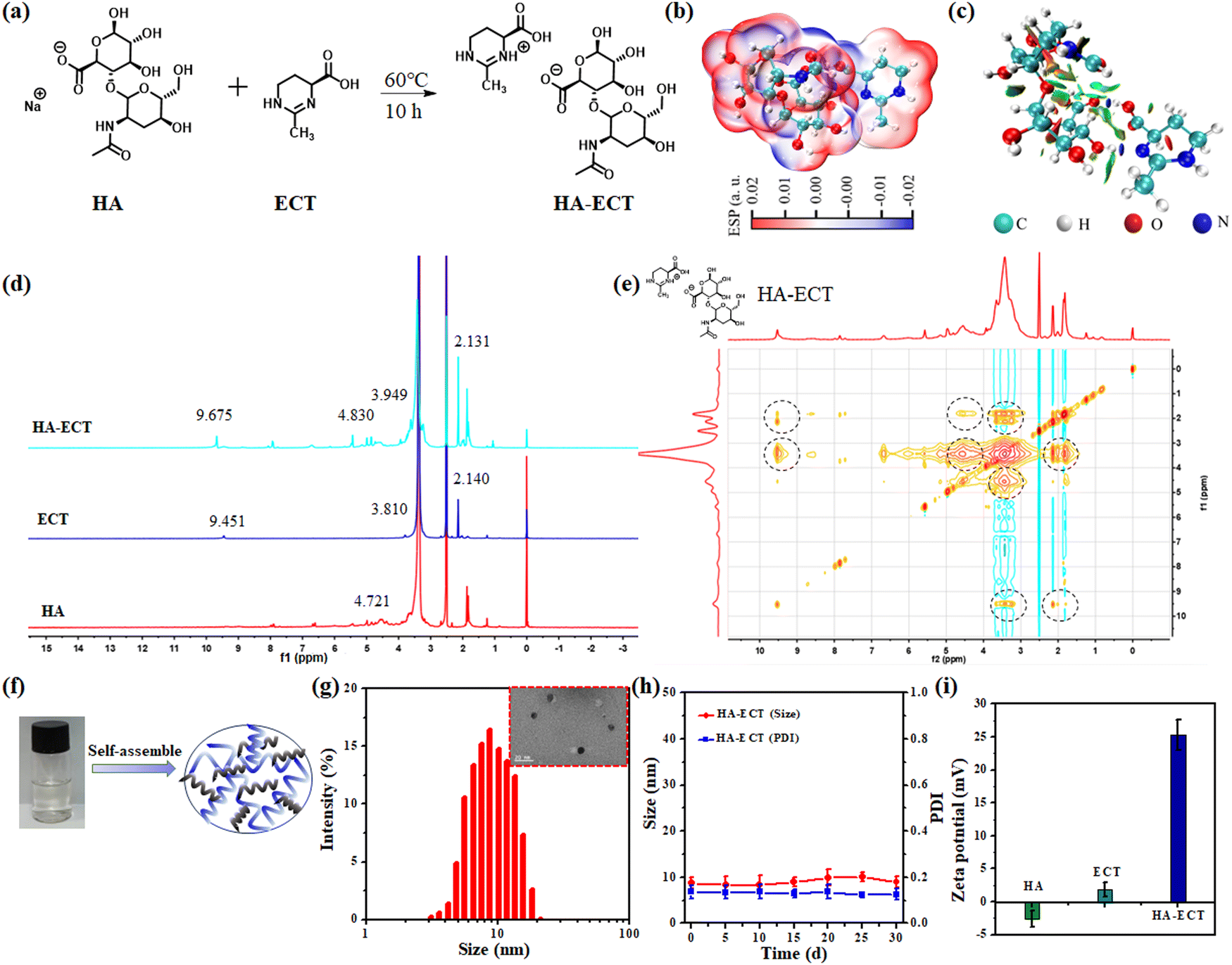 【最安値】 Anti-inflammatory and antioxidant effects on skin based on Nintendo Switch
