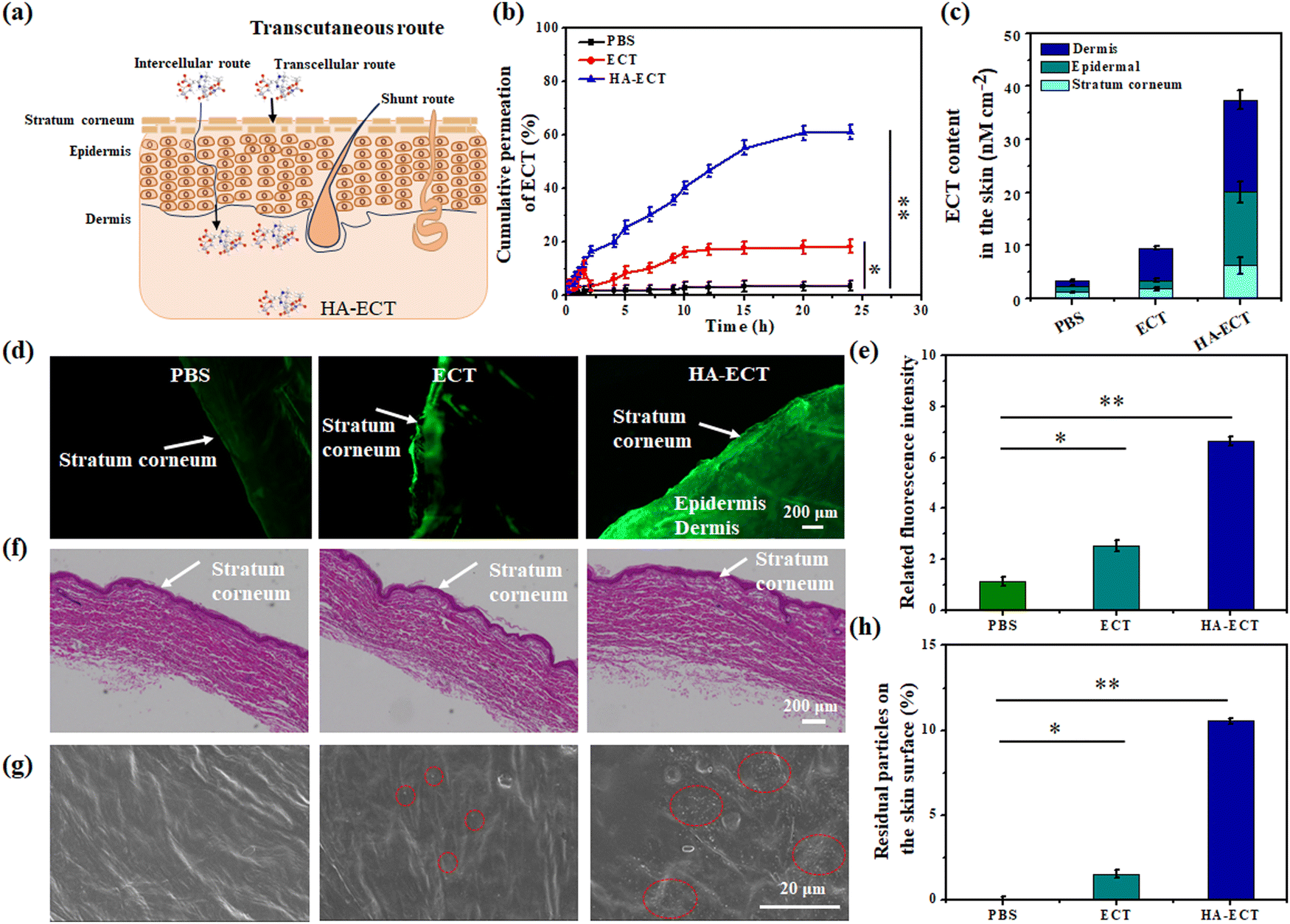 Carbon nanomaterial-based membranes for water and wastewater