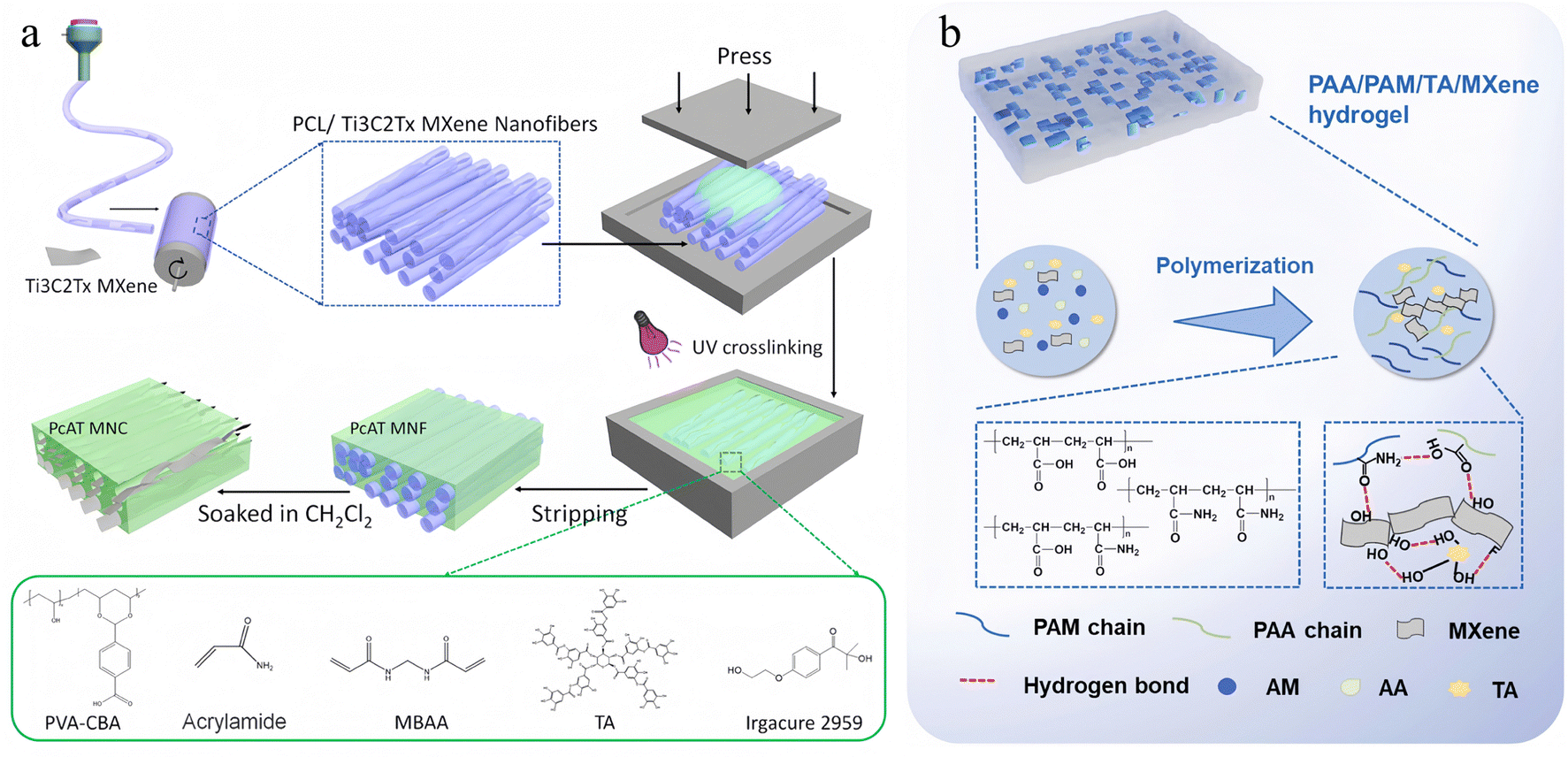 The latest research progress of conductive hydrogels in the field 