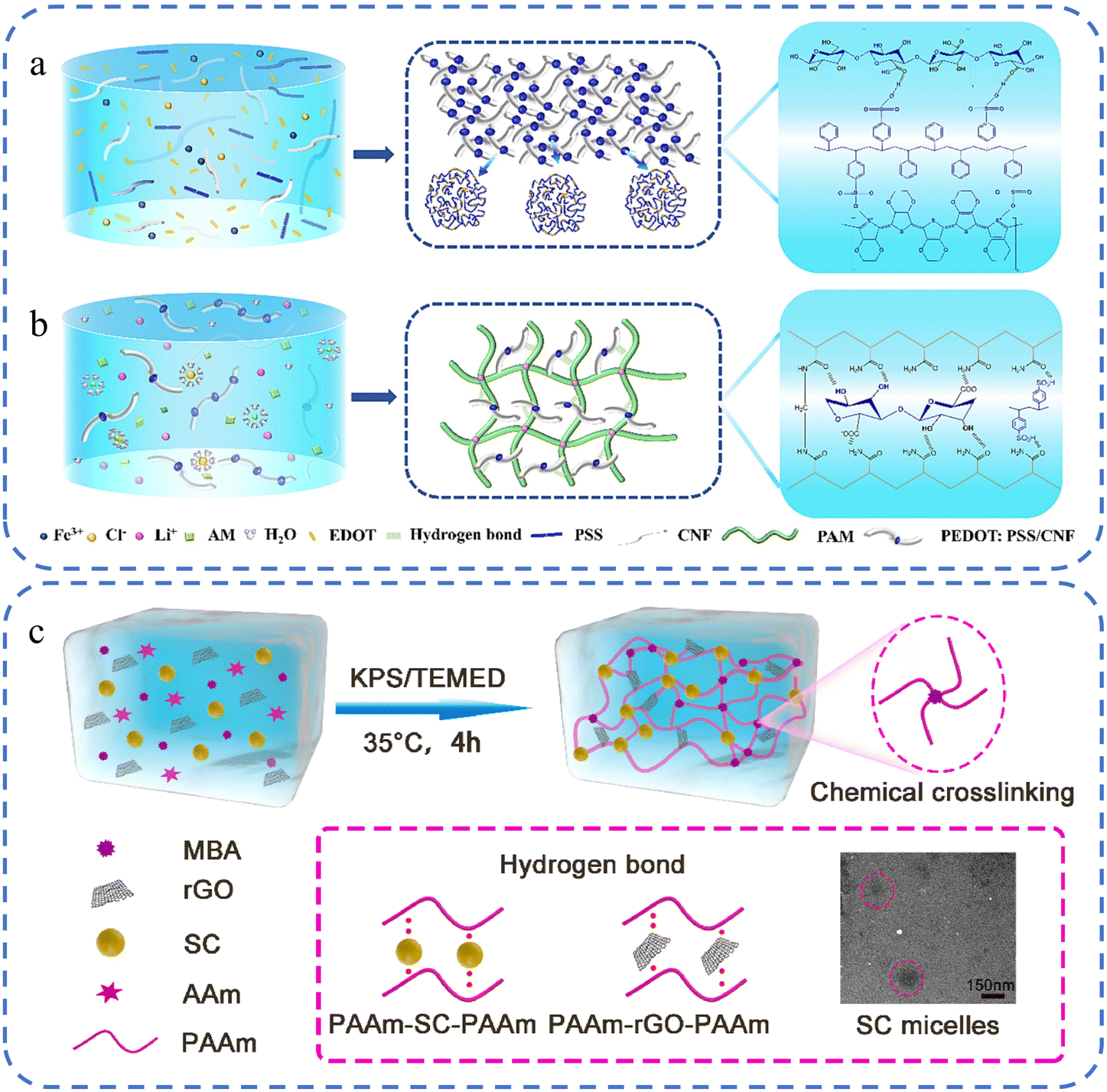 The latest research progress of conductive hydrogels in the