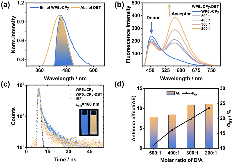 Geochemical Characteristics of Organic-Enriched Shales in