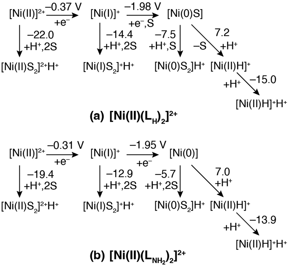Electrochemical hydrogen generation by a four-coordinate