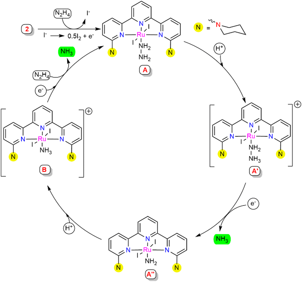 Ammonia synthesis by the reductive NN bond cleavage of hydrazine using