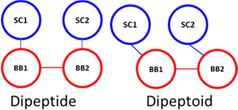 Martinoid: the peptoid martini force field - Physical Chemistry ...