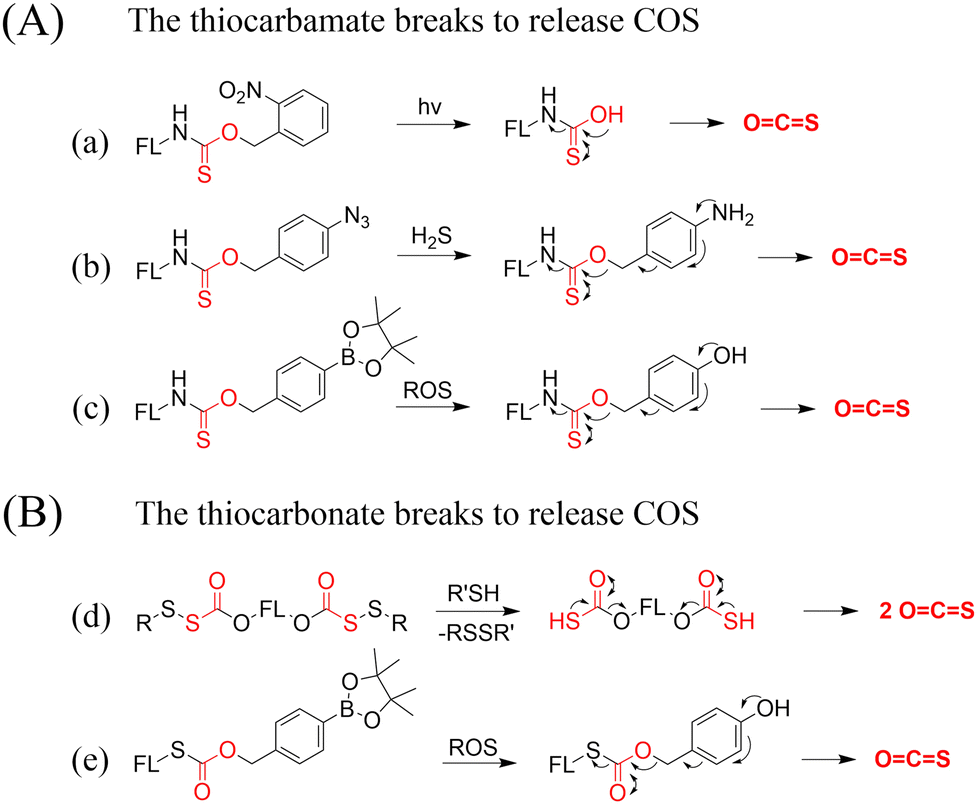 Fluorescent small molecule donors - Chemical Society Reviews (RSC ...