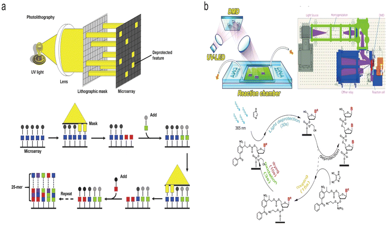 High-throughput DNA synthesis for data storage - Chemical Society ...