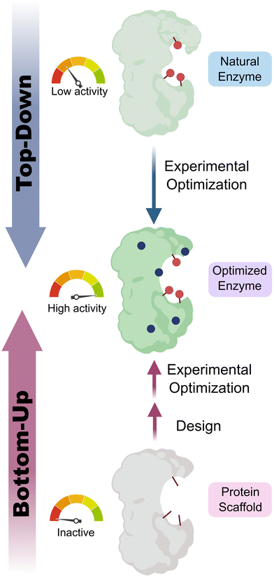 Strategies for designing biocatalysts with new functions - Chemical ...