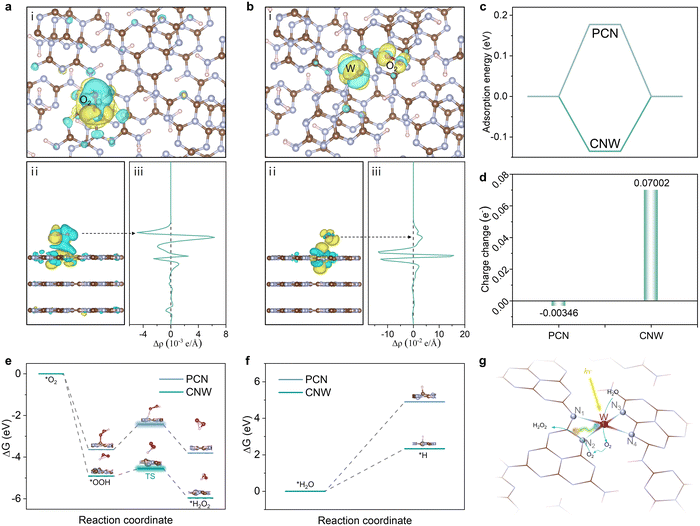 Cooperative tungsten centers in polymeric carbon nitride for efficient