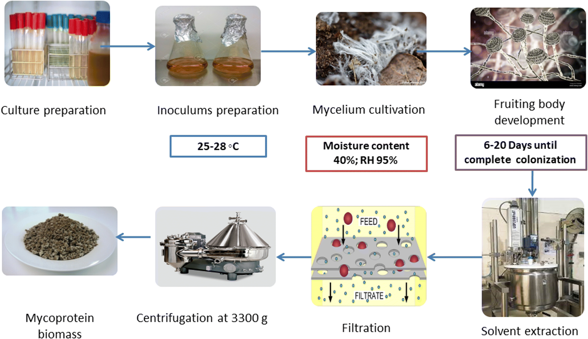 Mycoprotein: production and nutritional aspects: a review - Sustainable ...