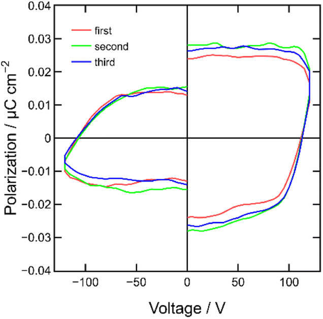 Optoelectronic conversion and polarization hysteresis in organic MISM