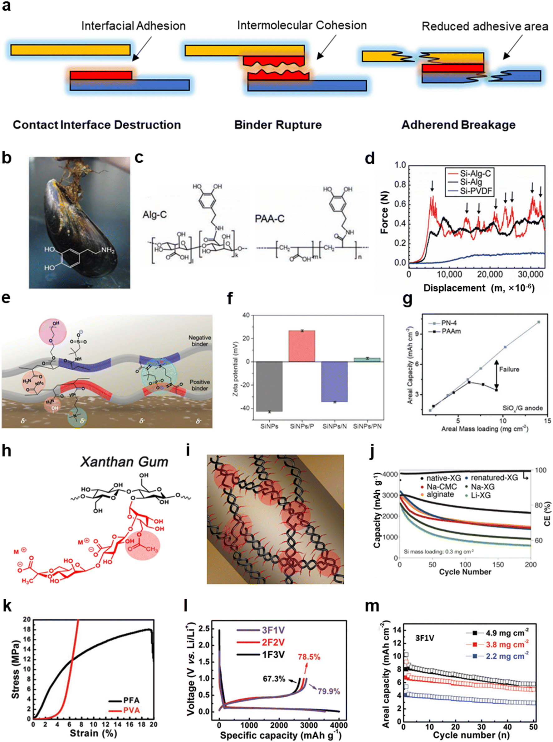 Design of functional binders for highspecificenergy lithiumion