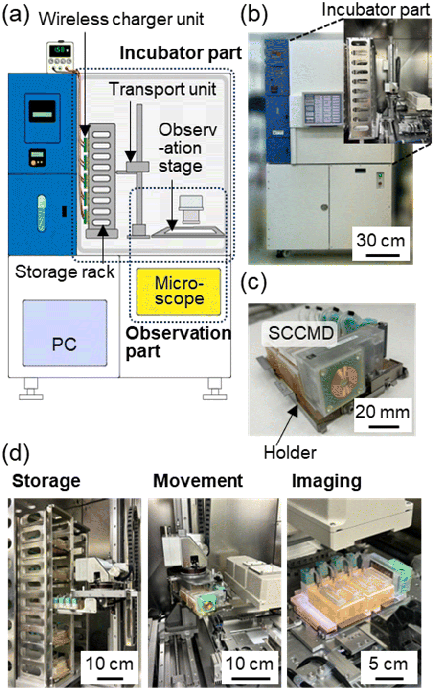 Standalone cell culture microfluidic devicebased microphysiological