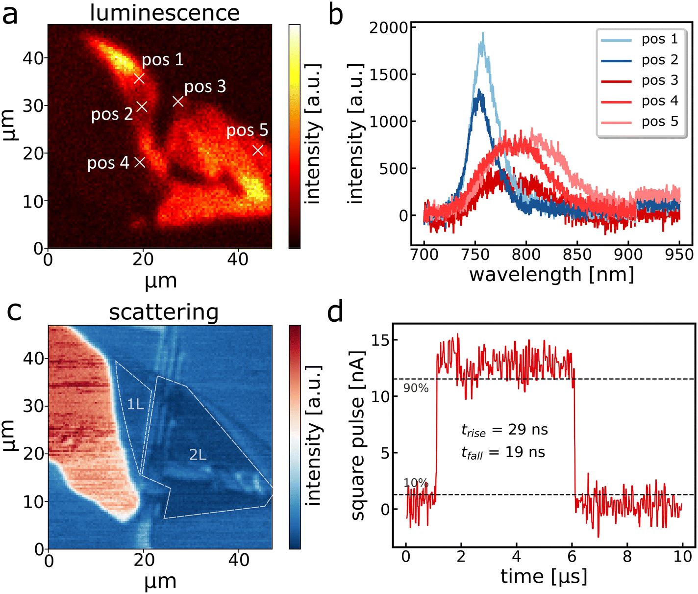 A simple 230 MHz photodetector based on exfoliated WSe 2 multilayers RSC Applied Interfaces