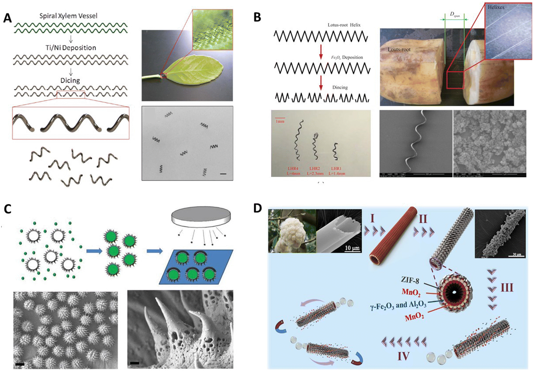 Intelligent micro/nanorobots based on biotemplates - Materials Horizons ...