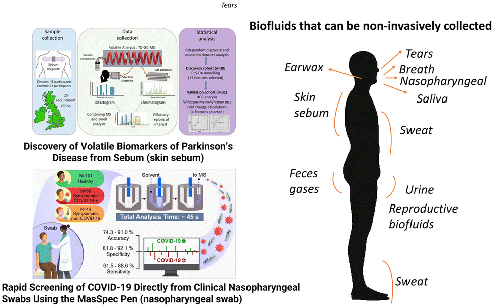 Implementation of multiomic mass spectrometry approaches for the ...
