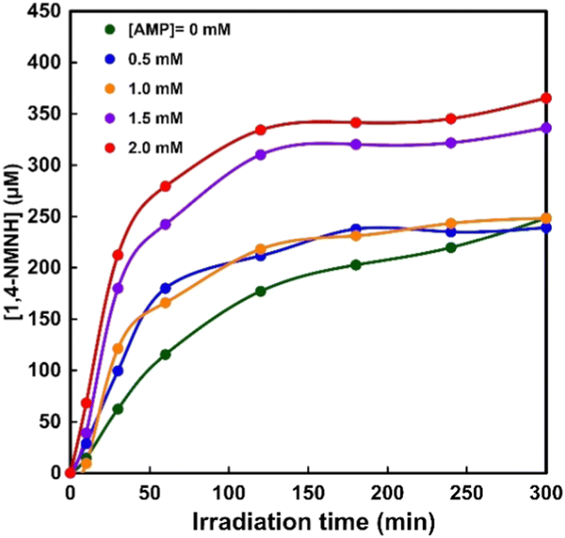 Effect of adenosine monophosphate on visible-light driven nicotinamide ...