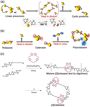 A thermally driven rotaxane–catenane interconversion with a dynamic bis ...