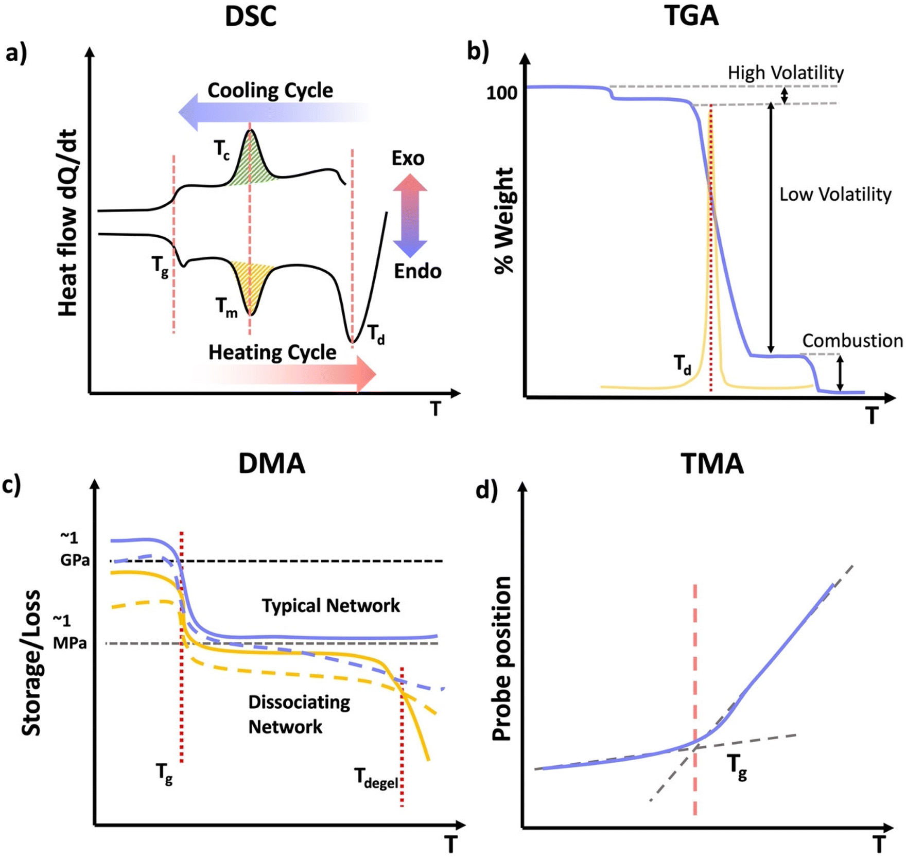 Educational series: characterizing crosslinked polymer networks ...