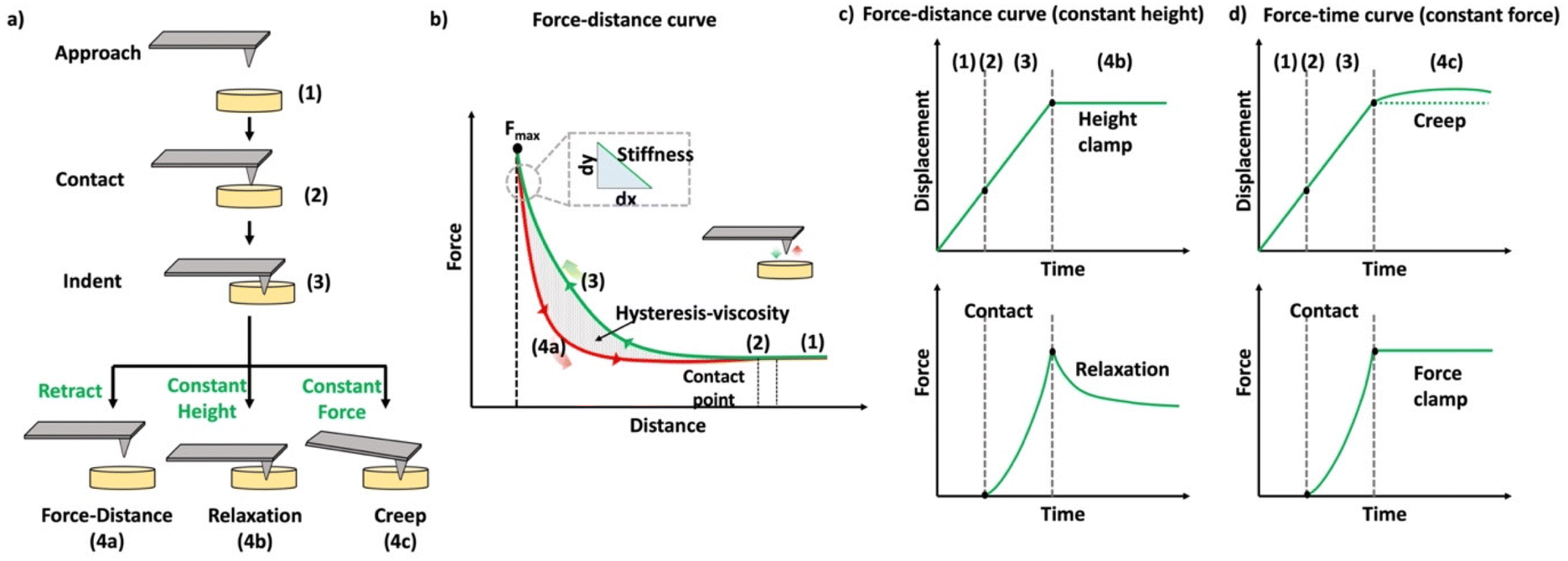 Educational series: characterizing crosslinked polymer networks ...