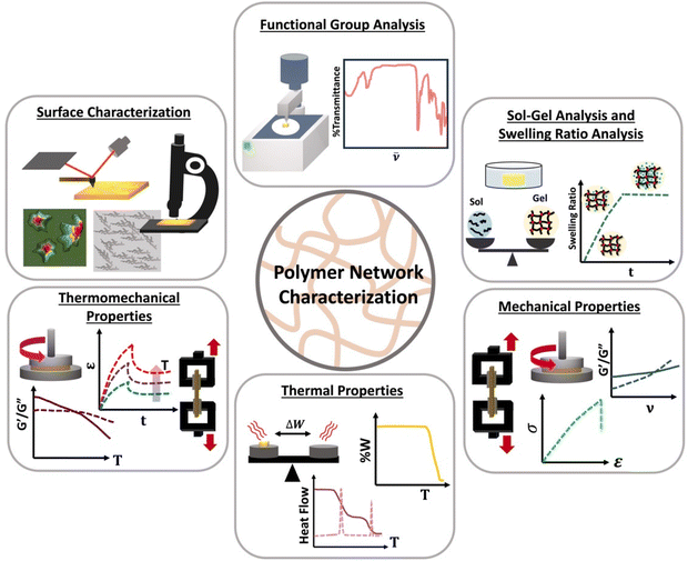 Educational series: characterizing crosslinked polymer networks ...