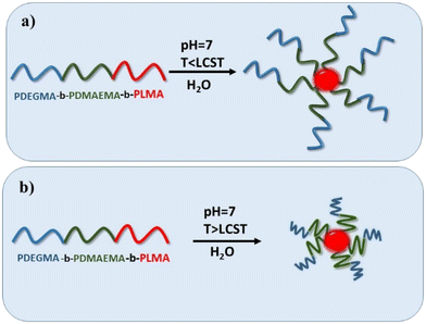 PDEGMA- B -PDMAEMA- B -PLMA Triblock Terpolymers And Their Cationic ...