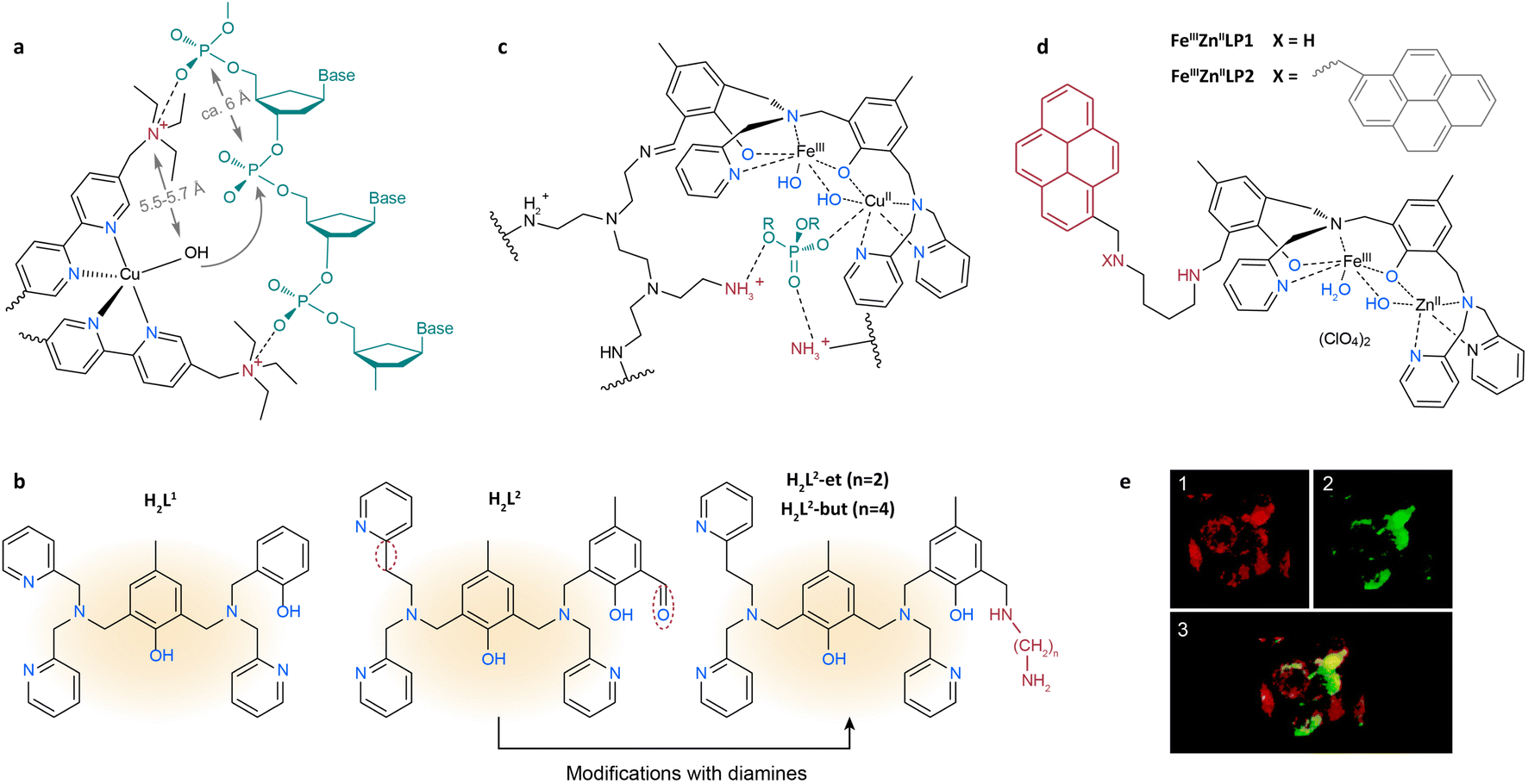 Opportunities and challenges for plastic depolymerization by biomimetic ...