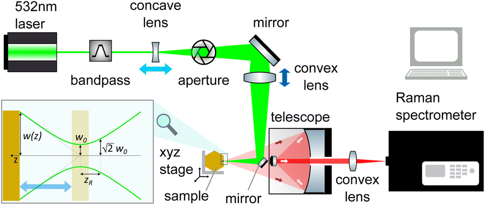 Direct observation of phase transitions between delta- and alpha-phase ...