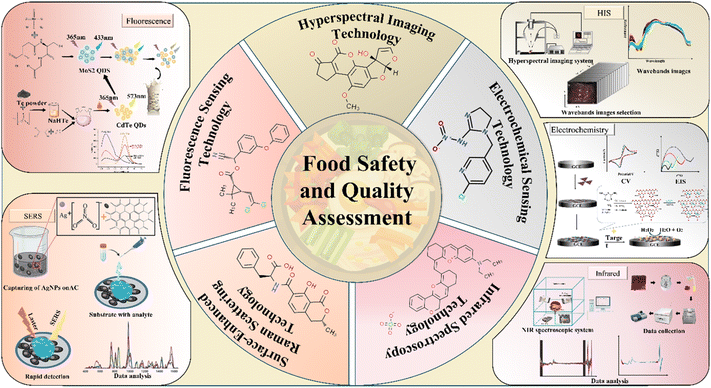 image file: d5ay00647c-s1.tif