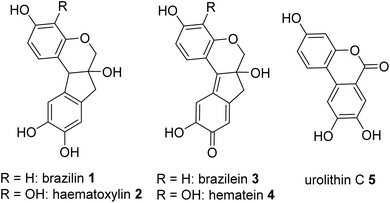 image file: d5ay00798d-u1.tif