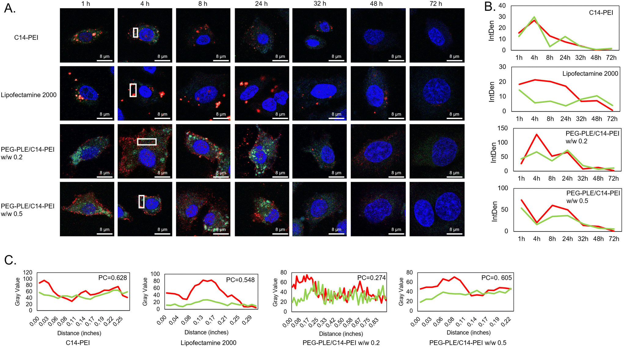 Anionic polymer coating for enhanced delivery of Cas9 mRNA Anionic polymer coating for enhanced delivery of Cas9 mRNA
